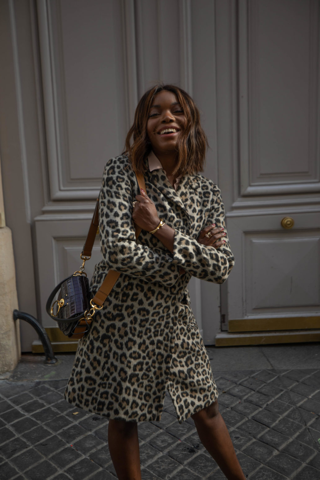 Ann Taylor Animal Print Fall 2019 coco bassey